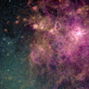 Meet your Posher, Jenna lei